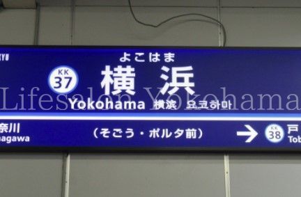 【周辺】　横浜駅(横浜高速鉄道 みなとみらい線) 徒歩10分。 790m