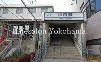 �y���Ӂz�@���c�w(���} �{��) �k��13���B 1010m