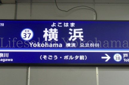 【周辺】　横浜駅(横浜高速鉄道 みなとみらい線) 徒歩7分。 520m