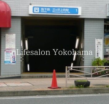 �y���Ӂz�@�O�b��㒬�w(���l�s�c�n���S �u���[���C��) �k��36���B 2840m