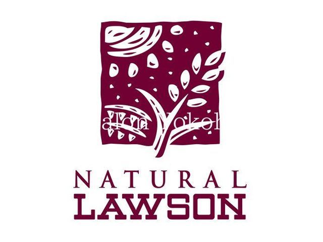 �y���Ӂz�@�i�`���������[�\�����l�����X �k��1���B 60m