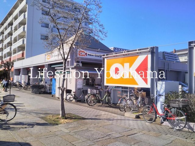 �y���Ӂz�@�I�[�P�[�{�q�X �k��15���B 1160m