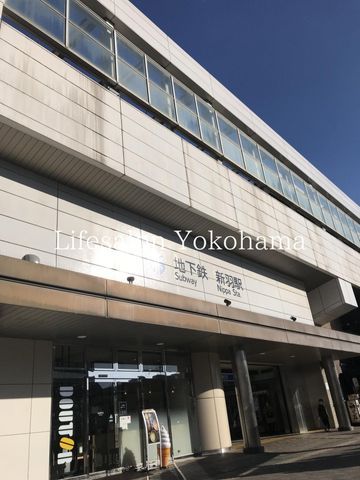 �y���Ӂz�@�V�H�w(���l�s�c�n���S �u���[���C��) �k��31���B 2440m