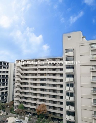 �y�����O�ρz�@