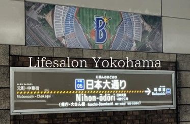 �y���Ӂz�@���{��ʂ�w(���l�����S�� �݂ȂƂ݂炢��)  310m