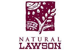 yӁz@i`[\Vl񒚖ړX  1m