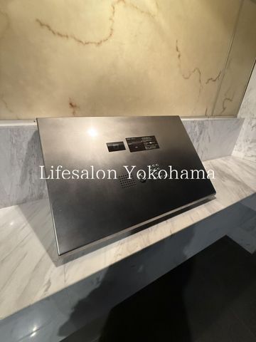�y���̑��ݔ��z�@�G���g�����X