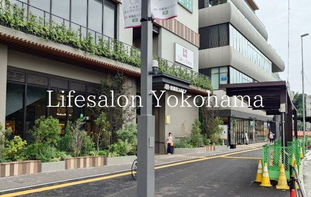 �y���Ӂz�@�V�j���X�N�G�A �k��20���B 1550m