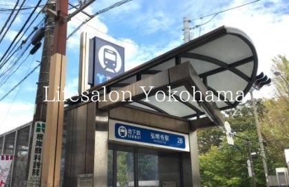 �y���Ӂz�@�O�����w(���l�s�c�n���S �u���[���C��) �k��18���B 1370m