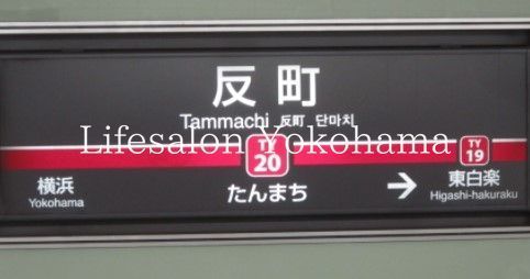 �y���Ӂz�@�����w(���} ������) �k��10���B 740m