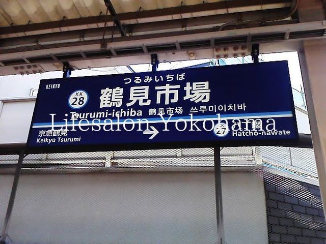 �y���Ӂz�@�ߌ��s��w(���} �{��) �k��32���B 2530m