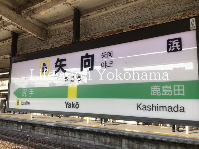 �y���Ӂz�@����w(JR�����{ �앐��) �k��18���B 1390m