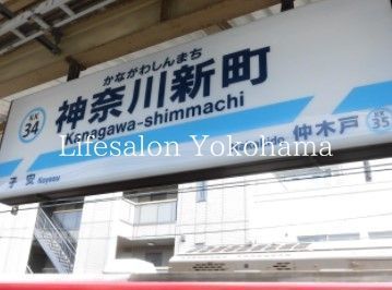 �y���Ӂz�@�_�ސ�V���w(���} �{��) �k��13���B 970m