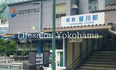 �y���Ӂz�@����w(���S �{��) �k��17���B 1340m